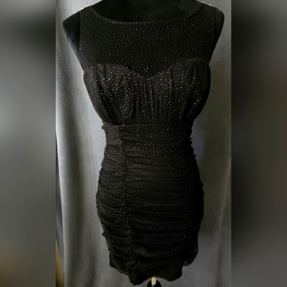 Black & Rose Gold Sequins Dress